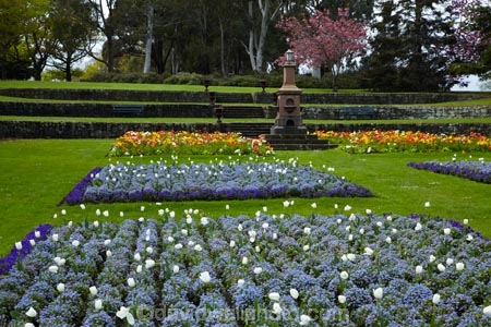 bloom;blooming;blooms;blossom;blossoming;blossoms;Botanic-Garden;Botanic-Gardens;Botanical-Garden;Botanical-Gardens;Canterbury;flower;flower-garden;flower-gardens;flowers;garden;gardens;N.Z.;New-Zealand;NZ;poppies;poppy;Queen-Victoria-Memorial;S.I.;season;seasonal;seasons;SI;South-Canterbury;South-Is;South-Is.;South-Island;spring;spring-time;spring_time;springtime;Sth-Is;Timaru;Timaru-Botanic-Garden;Timaru-Botanic-Gardens;Timaru-Botanical-Garden;Timaru-Botanical-Gardens;Timaru-Garden;Timaru-Gardens;tulip;tulips;Victoria-Memorial
