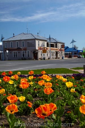 ale-house;ale-houses;Aotearoa;bar;bars;bloom;blooming;blooms;brown;Brown-Pub;building;buildings;Canterbury;floral;flower;flower-bed;flower-beds;flower-garden;flower-gardens;flowers;free-house;free-houses;garden;gardens;heritage;historic;historic-building;historic-buildings;historic-hotel;historic-pub;historical;historical-building;historical-buildings;history;hotel;hotels;Methven;Mid-Canterbury;N.Z.;New-Zealand;NZ;old;pub;public-flower-garden;public-garden;public-gardens;public-house;public-houses;pubs;saloon;saloons;season;seasonal;seasons;South-Is;South-Island;spring;spring-time;spring_time;springtime;Sth-Is;tavern;taverns;The-Brown-Pub