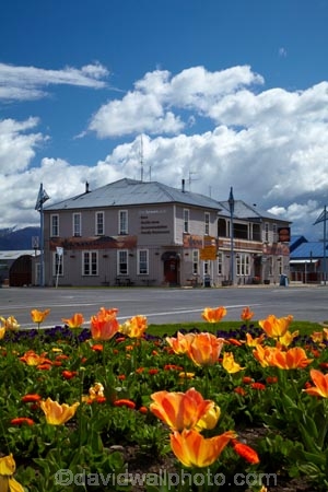 ale-house;ale-houses;Aotearoa;bar;bars;bloom;blooming;blooms;brown;Brown-Pub;building;buildings;Canterbury;floral;flower;flower-bed;flower-beds;flower-garden;flower-gardens;flowers;free-house;free-houses;garden;gardens;heritage;historic;historic-building;historic-buildings;historic-hotel;historic-pub;historical;historical-building;historical-buildings;history;hotel;hotels;Methven;Mid-Canterbury;N.Z.;New-Zealand;NZ;old;pub;public-flower-garden;public-garden;public-gardens;public-house;public-houses;pubs;saloon;saloons;season;seasonal;seasons;South-Is;South-Island;spring;spring-time;spring_time;springtime;Sth-Is;tavern;taverns;The-Brown-Pub