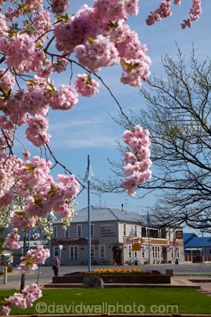 ale-house;ale-houses;Aotearoa;bar;bars;bloom;blooming;blooms;blossom;blossoms;brown;Brown-Pub;building;buildings;Canterbury;floral;flower;flower-bed;flower-beds;flower-garden;flower-gardens;flowers;free-house;free-houses;garden;gardens;heritage;historic;historic-building;historic-buildings;historic-hotel;historic-pub;historical;historical-building;historical-buildings;history;hotel;hotels;Methven;Mid-Canterbury;N.Z.;New-Zealand;NZ;old;pub;public-flower-garden;public-garden;public-gardens;public-house;public-houses;pubs;saloon;saloons;season;seasonal;seasons;South-Is;South-Island;spring;spring-time;spring_time;springtime;Sth-Is;tavern;taverns;The-Brown-Pub