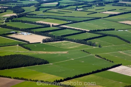 agricultural;agriculture;Aotearoa;Canterbury;Canterbury-Plains;country;countryside;crop;crops;farm;farming;farmland;farms;field;fields;horticulture;meadow;meadows;Mount-Hutt;Mt-Hutt;Mt.-Hutt;N.Z.;New-Zealand;NZ;paddock;paddocks;pasture;pastures;rural;South-Is;South-Island;Sth-Is;wind-break;wind-breaks;windbreak;windbreaks