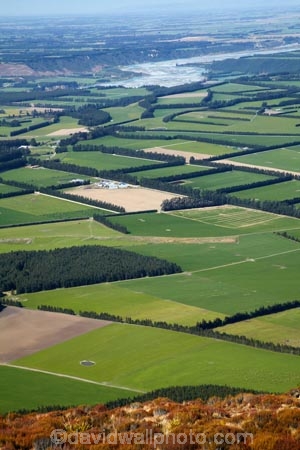 agricultural;agriculture;Aotearoa;Canterbury;Canterbury-Plains;country;countryside;crop;crops;farm;farming;farmland;farms;field;fields;horticulture;meadow;meadows;Mid-Canterbury;Mount-Hutt;Mt-Hutt;Mt.-Hutt;N.Z.;New-Zealand;NZ;paddock;paddocks;pasture;pastures;Rakaia-River;rural;South-Is;South-Island;Sth-Is;view;wind-break;wind-breaks;windbreak;windbreaks