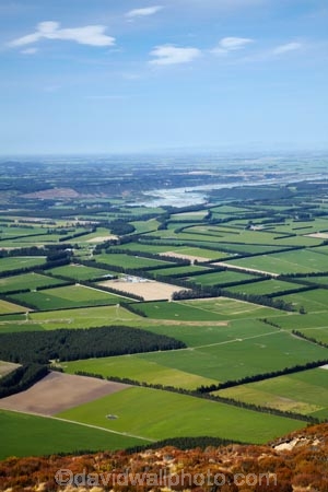 agricultural;agriculture;Aotearoa;Canterbury;Canterbury-Plains;country;countryside;crop;crops;farm;farming;farmland;farms;field;fields;horticulture;meadow;meadows;Mid-Canterbury;Mount-Hutt;Mt-Hutt;Mt.-Hutt;N.Z.;New-Zealand;NZ;paddock;paddocks;pasture;pastures;Rakaia-River;rural;South-Is;South-Island;Sth-Is;view;wind-break;wind-breaks;windbreak;windbreaks