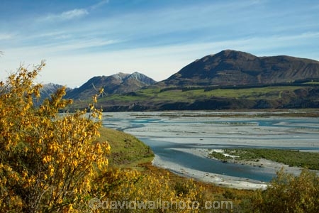 Aotearoa;blue-water;braided-channels;braided-river;braided-rivers;braided-stream;braided-streams;Canterbury;flower;flowers;kowhai;kowhai-flower;kowhai-flowers;Mid-Canterbury;N.Z.;New-Zealand;NZ;Rakaia-River;Rakaia-Valley;river;rivers;season;seasonal;seasons;South-Is;South-Island;spring;spring-time;spring_time;springtime;Sth-Is;stream;streams;yellow