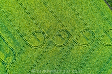 aerial;Aerial-drone;Aerial-drones;aerial-image;aerial-images;aerial-photo;aerial-photograph;aerial-photographs;aerial-photography;aerial-photos;aerial-view;aerial-views;aerials;agricultural;agriculture;canolla;canolla-field;canolla-fields;Canterbury;country;countryside;crop;crops;Drone;Drones;farm;farming;farmland;farms;field;fields;flower;flowers;horticulture;meadow;meadows;Methven;Mid-Canterbury;N.Z.;New-Zealand;NZ;paddock;paddocks;pasture;pastures;pattern;patterns;Quadcopter-aerial;Quadcopters-aerials;rapeseed;rapeseed-field;rural;S.I.;season;seasonal;seasons;SI;South-Is;South-Island;spring;spring-time;spring_time;springtime;Sth-Is;tire-tracks;tractor-tracks;tyre-tracks;U.A.V.-aerial;UAV-aerials;wheel-tracks;yellow;yellow-flower;yellow-flowers