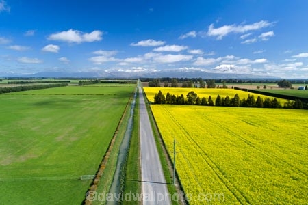 aerial;Aerial-drone;Aerial-drones;aerial-image;aerial-images;aerial-photo;aerial-photograph;aerial-photographs;aerial-photography;aerial-photos;aerial-view;aerial-views;aerials;agricultural;agriculture;canolla;canolla-field;canolla-fields;Canterbury;country;countryside;crop;crops;Drone;Drones;farm;farming;farmland;farms;field;fields;flower;flowers;horticulture;meadow;meadows;Methven;Methven-Chertsey-Rd;Methven-Chertsey-Road;Methven_Chertsey-Road;Mid-Canterbury;Mount-Hutt;mountain;mountains;Mt-Hutt;N.Z.;New-Zealand;NZ;paddock;paddocks;pasture;pastures;Quadcopter-aerial;Quadcopters-aerials;rapeseed;rapeseed-field;rural;S.I.;season;seasonal;seasons;SI;South-Is;South-Island;southern-alps;spring;spring-time;spring_time;springtime;Sth-Is;U.A.V.-aerial;UAV-aerials;yellow;yellow-flower;yellow-flowers