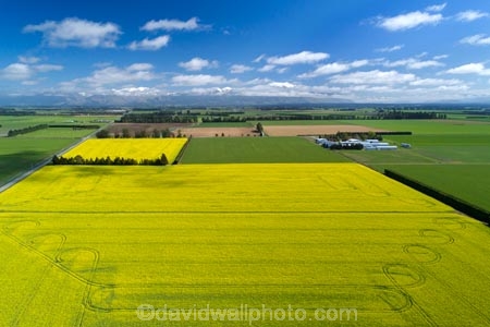 aerial;Aerial-drone;Aerial-drones;aerial-image;aerial-images;aerial-photo;aerial-photograph;aerial-photographs;aerial-photography;aerial-photos;aerial-view;aerial-views;aerials;agricultural;agriculture;canolla;canolla-field;canolla-fields;Canterbury;country;countryside;crop;crops;Drone;Drones;farm;farming;farmland;farms;field;fields;flower;flowers;horticulture;meadow;meadows;Methven;Mid-Canterbury;Mount-Hutt;mountain;mountains;Mt-Hutt;N.Z.;New-Zealand;NZ;paddock;paddocks;pasture;pastures;Quadcopter-aerial;Quadcopters-aerials;rapeseed;rapeseed-field;rural;S.I.;season;seasonal;seasons;SI;South-Is;South-Island;southern-alps;spring;spring-time;spring_time;springtime;Sth-Is;tire-tracks;tractor-tracks;tyre-tracks;U.A.V.-aerial;UAV-aerials;wheel-tracks;yellow;yellow-flower;yellow-flowers