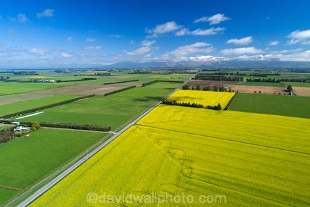 aerial;Aerial-drone;Aerial-drones;aerial-image;aerial-images;aerial-photo;aerial-photograph;aerial-photographs;aerial-photography;aerial-photos;aerial-view;aerial-views;aerials;agricultural;agriculture;canolla;canolla-field;canolla-fields;Canterbury;country;countryside;crop;crops;Drone;Drones;farm;farming;farmland;farms;field;fields;flower;flowers;horticulture;meadow;meadows;Methven;Methven-Chertsey-Rd;Methven-Chertsey-Road;Methven_Chertsey-Road;Mid-Canterbury;Mount-Hutt;mountain;mountains;Mt-Hutt;N.Z.;New-Zealand;NZ;paddock;paddocks;pasture;pastures;Quadcopter-aerial;Quadcopters-aerials;rapeseed;rapeseed-field;rural;S.I.;season;seasonal;seasons;SI;South-Is;South-Island;southern-alps;spring;spring-time;spring_time;springtime;Sth-Is;tire-tracks;tractor-tracks;tyre-tracks;U.A.V.-aerial;UAV-aerials;wheel-tracks;yellow;yellow-flower;yellow-flowers