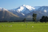 agricultural;agriculture;alp;alpine;alps;altitude;canterbury;country;countryside;crop;crops;farm;farming;farmland;farms;field;fields;high-altitude;horticulture;main-divide;meadow;meadows;Methven;mount;mount-hutt;mountain;mountain-peak;mountainous;mountains;mountainside;mt;mt-hutt;mt.;mt.-hutt;New-Zealand;paddock;paddocks;pasture;pastures;peak;peaks;peneplain;plain;plains;range;ranges;rural;sheep;snow;snow-capped;snow_capped;snowcapped;snowy;South-Island;southern-alps;summit;summits