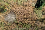aerial;Aerial-drone;Aerial-drones;aerial-image;aerial-images;aerial-photo;aerial-photograph;aerial-photographs;aerial-photography;aerial-photos;aerial-view;aerial-views;aerials;Canterbury;Drone;Drones;forest;forests;Mid-Canterbury;N.Z.;New-Zealand;NZ;Quadcopter-aerial;Quadcopters-aerials;Rakaia;Rakaia-River;S.I.;SI;South-Is;South-Island;Sth-Is;tree;trees;U.A.V.-aerial;UAV-aerials