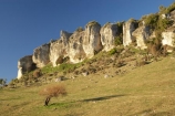 agricultural;agriculture;bluff;bluffs;Canterbury;cliff;cliffs;country;countryside;Craigmore-Valley;farm;farming;farmland;farms;field;fields;Frenchmans-Gully-Road;geological;geology;limestone;meadow;meadows;N.Z.;New-Zealand;NZ;paddock;paddocks;pasture;pastures;rock;rock-formation;rock-formations;rock-outcrop;rock-outcrops;rock-tor;rock-torr;rock-torrs;rock-tors;rocks;rural;S.I.;SI;South-Canterbury;South-Is;South-Island;stone