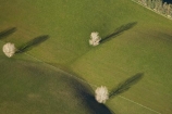 aerial;aerial-photo;aerial-photograph;aerial-photographs;aerial-photography;aerial-photos;aerial-view;aerial-views;aerials;agricultural;agriculture;Canterbury;country;countryside;deciduous-tree;deciduous-trees;farm;farming;farmland;farms;field;fields;meadow;meadows;N.Z.;New-Zealand;NZ;paddock;paddocks;pasture;pastures;rural;S.I.;season;seasonal;SI;South-Canterbury;South-Is;South-Island;Timaru;winter