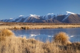 calm;Canterbury;cold;freeze;freezing;frost;frosty;frozen;frozen-lake;frozen-lakes;frozen-water;Hakatere-Conservation-Park;ice;icy;lake;Lake-Heron;lakes;Maori-Lake;Maori-Lakes;Mid-Canterbury;N.Z.;New-Zealand;NZ;placid;quiet;reflection;reflections;S.I.;season;seasonal;seasons;serene;SI;smooth;snow;snowy;South-Is;South-Island;still;tranquil;tussock;tussocks;water;white;winter;wintery