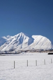 agricultural;agriculture;Canterbury;cold;country;countryside;farm;farming;farmland;farms;fence;fence-line;fence-lines;fence_line;fence_lines;fenceline;fencelines;fences;field;fields;Hakatere-Conservation-Park;meadow;meadows;Mid-Canterbury;Mount-Catherine;Mt-Catherine;Mt.-Catherine;N.Z.;New-Zealand;NZ;paddock;paddocks;pasture;pastures;rural;S.I.;season;seasonal;seasons;SI;snow;snowy;South-Is;South-Island;white;winter;wintery