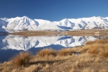 calm;Canterbury;Canterbury-Foothills;cold;Hakatere-Conservation-Park;lake;Lake-Heron;lakes;Mid-Canterbury;Mount-Catherine;Mt-Catherine;Mt.-Catherine;N.Z.;New-Zealand;NZ;placid;quiet;reflection;reflections;S.I.;season;seasonal;seasons;serene;SI;smooth;snow;snowy;South-Is;South-Island;still;Taylor-Range;tranquil;tussock;tussocks;water;white;winter;wintery