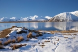 calm;Canterbury;Canterbury-Foothills;cold;Hakatere-Conservation-Park;lake;Lake-Heron;lakes;Mid-Canterbury;Mount-Sugarloaf;Mt-Sugarloaf;Mt.-Sugarloaf;N.Z.;New-Zealand;NZ;Palmer-Range;placid;quiet;reflection;reflections;S.I.;season;seasonal;seasons;serene;SI;smooth;snow;snowy;South-Is;South-Island;still;tranquil;water;white;winter;wintery