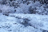 Arthurs-Pass-Road;beautiful;brook;brooks;calm;calmness;Canterbury;clean;clear;cold;Coldness;Color;Colour;Craigieburn-Stream;creek;creeks;Daytime;Exterior;extreme-weather;Flock-Hill;flow;freeze;freezing;frost;Frosted;frosts;frosty;high-country;hoar-frost;hoar-frosts;Hoarfrost;hoarfrosts;ice;ice-crystals;icy;idyllic;Landscape;Landscapes;N.Z.;natural;Nature;new-zealand;NZ;Outdoor;Outdoors;Outside;peaceful;Peacefulness;phenomena;phenomenon;pure;Quiet;Quietness;rime;rime-ice;river;rivers;S.I.;Scenic;Scenics;season;seasonal;seasons;SI;silence;snow;snowy;South-Is;South-Island;spectacular;State-Highway-73;State-Highway-Seventy-Three;stream;streams;stunning;tranquil;tranquility;view;water;weather;wet;white;winter;Wintertime;wintery;wintry