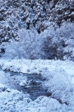 Arthurs-Pass-Road;beautiful;brook;brooks;calm;calmness;Canterbury;clean;clear;cold;Coldness;Color;Colour;Craigieburn-Stream;creek;creeks;Daytime;Exterior;extreme-weather;Flock-Hill;flow;freeze;freezing;frost;Frosted;frosts;frosty;high-country;hoar-frost;hoar-frosts;Hoarfrost;hoarfrosts;ice;ice-crystals;icy;idyllic;Landscape;Landscapes;N.Z.;natural;Nature;new-zealand;NZ;Outdoor;Outdoors;Outside;peaceful;Peacefulness;phenomena;phenomenon;pure;Quiet;Quietness;rime;rime-ice;river;rivers;S.I.;Scenic;Scenics;season;seasonal;seasons;SI;silence;snow;snowy;South-Is;South-Island;spectacular;State-Highway-73;State-Highway-Seventy-Three;stream;streams;stunning;tranquil;tranquility;view;water;weather;wet;white;winter;Wintertime;wintery;wintry