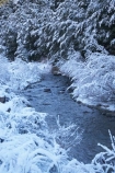 Arthurs-Pass-Road;beautiful;brook;brooks;calm;calmness;Canterbury;clean;clear;cold;Coldness;Color;Colour;Craigieburn-Stream;creek;creeks;Daytime;Exterior;extreme-weather;Flock-Hill;flow;freeze;freezing;frost;Frosted;frosts;frosty;high-country;hoar-frost;hoar-frosts;Hoarfrost;hoarfrosts;ice;ice-crystals;icy;idyllic;Landscape;Landscapes;N.Z.;natural;Nature;new-zealand;NZ;Outdoor;Outdoors;Outside;peaceful;Peacefulness;phenomena;phenomenon;pure;Quiet;Quietness;rime;rime-ice;river;rivers;S.I.;Scenic;Scenics;season;seasonal;seasons;SI;silence;snow;snowy;South-Is;South-Island;spectacular;State-Highway-73;State-Highway-Seventy-Three;stream;streams;stunning;tranquil;tranquility;view;water;weather;wet;white;winter;Wintertime;wintery;wintry