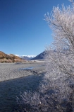 Arthurs-Pass-Road;beautiful;braided-river;braided-rivers;brook;brooks;calm;calmness;Canterbury;clean;clear;cold;Coldness;Color;Colour;creek;creeks;Daytime;Exterior;extreme-weather;flow;freeze;freezing;frost;Frosted;frosts;frosty;high-country;hoar-frost;hoar-frosts;Hoarfrost;hoarfrosts;ice;ice-crystals;icy;idyllic;Landscape;Landscapes;meander;meandering;meandering-river;meandering-rivers;N.Z.;natural;Nature;New-Zealand;NZ;Outdoor;Outdoors;Outside;peaceful;Peacefulness;phenomena;phenomenon;pure;rime;rime-ice;river;rivers;S.I.;Scenic;Scenics;season;seasonal;Seasons;SI;snow;snowy;South-Is;south-island;spectacular;State-Highway-73;State-Highway-Seventy-Three;stream;streams;stunning;tranquil;tranquility;tree;trees;view;Waimakariri-River;Waimakariri-River-Valley;water;weather;wet;White;willow;willow-tree;willow-trees;willows;winter;Wintertime;wintery;wintry