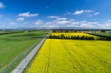 aerial;Aerial-drone;Aerial-drones;aerial-image;aerial-images;aerial-photo;aerial-photograph;aerial-photographs;aerial-photography;aerial-photos;aerial-view;aerial-views;aerials;agricultural;agriculture;canolla;canolla-field;canolla-fields;Canterbury;country;countryside;crop;crops;Drone;Drones;farm;farming;farmland;farms;field;fields;flower;flowers;horticulture;meadow;meadows;Methven;Methven-Chertsey-Rd;Methven-Chertsey-Road;Methven_Chertsey-Road;Mid-Canterbury;Mount-Hutt;mountain;mountains;Mt-Hutt;N.Z.;New-Zealand;NZ;paddock;paddocks;pasture;pastures;Quadcopter-aerial;Quadcopters-aerials;rapeseed;rapeseed-field;rural;S.I.;season;seasonal;seasons;SI;South-Is;South-Island;southern-alps;spring;spring-time;spring_time;springtime;Sth-Is;U.A.V.-aerial;UAV-aerials;yellow;yellow-flower;yellow-flowers