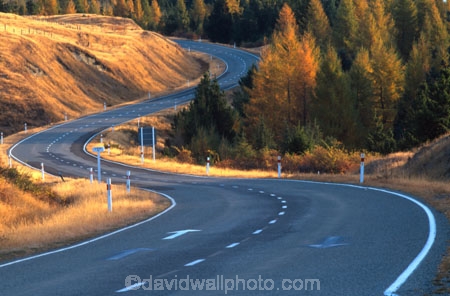 road;roads;highway;highways;curve;curving;trees;mount-cook;mount-aoraki;journey