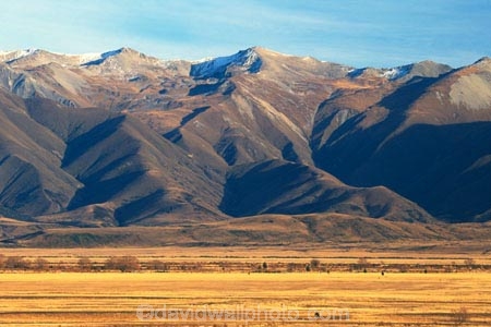 golden;mountains;range;grass;farm;farming;farms;paddock;paddocks;field;fields;pasture;pastures;meadow;meadows;agriculture;rural
