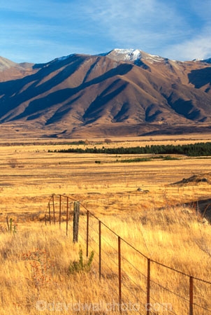 golden;mountains;range;grass;farm;farming;farms;paddock;paddocks;field;fields;pasture;pastures;meadow;meadows;agriculture;rural