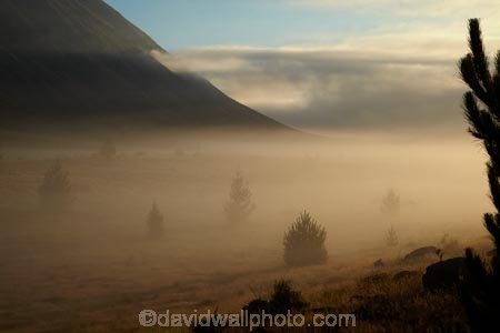 Ben-Ohau;Canterbury;fog;foggy;fogs;Mackenzie-Country;Mackenzie-District;mist;mists;misty;morning;New-Zealand;NZ;S.I.;SI;South-Canterbury;South-Is;South-Island;Sth-Is
