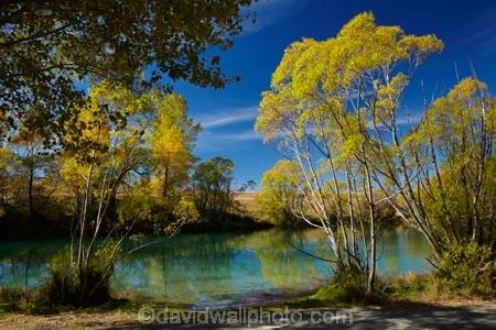 autuminal;-autumn;-autumn-colour;-autumn-colours;-autumnal;-calm;-Canterbury;-color;-colors;-colour;-colours;-deciduous;-fall;-gold;-golden;-leaf;-leaves;-Mackenzie-Country;-New-Zealand;-North-Otago;-NZ;-Ohau-River;-placid;-quiet;-reflected;-reflection;-reflections;-S.I.;-season;-seasonal;-seasons;-serene;-SI;-smooth;-South-Canterbury;-South-Is;-South-Island;-Sth-Is;-still;-tranquil;-tree;-trees;-Waitaki-District;-Waitaki-Region;-water;-willow;-willow-tree;-willow-trees;-willows;-yellow