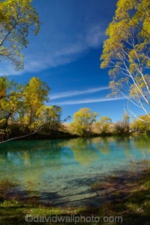autuminal;-autumn;-autumn-colour;-autumn-colours;-autumnal;-calm;-Canterbury;-color;-colors;-colour;-colours;-deciduous;-fall;-gold;-golden;-leaf;-leaves;-Mackenzie-Country;-New-Zealand;-North-Otago;-NZ;-Ohau-River;-placid;-quiet;-reflected;-reflection;-reflections;-S.I.;-season;-seasonal;-seasons;-serene;-SI;-smooth;-South-Canterbury;-South-Is;-South-Island;-Sth-Is;-still;-tranquil;-tree;-trees;-Waitaki-District;-Waitaki-Region;-water;-willow;-willow-tree;-willow-trees;-willows;-yellow