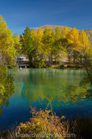 autuminal;autumn;autumn-colour;autumn-colours;autumnal;briar;briars;calm;Canterbury;color;colors;colour;colours;deciduous;fall;gold;golden;leaf;leaves;Mackenzie-Country;New-Zealand;North-Otago;NZ;Ohau-River;placid;quiet;reflected;reflection;reflections;rosehip-bush;rosehip-bushes;rosehips;S.I.;season;seasonal;seasons;serene;SI;smooth;South-Canterbury;South-Is;South-Island;Sth-Is;still;tranquil;tree;trees;Waitaki-District;Waitaki-Region;water;willow;willow-tree;willow-trees;willows;yellow