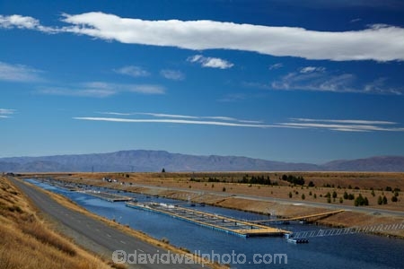 aqua-farm;aqua-farming;aqua-farms;aqua_farm;aqua_farming;aqua_farms;aquaculture;aquafarm;aquafarming;aquafarms;Canterbury;fish;fish-farm;fish-farming;fish-farms;fish_farm;fish_farming;fishes;fishing;hydro-canal;lenticular-cloud;lenticular-clouds;Mackenzie-Country;Mackenzie-District;Meridian-Energy;N.Z.;New-Zealand;North-Otago;NZ;Ohau-Canal;Otago;S.I;S.I.;salmon;Salmon-Farm;salmon-farms;SI;South-Canterbury;South-Is;South-Island;sport-fish;Sth-Is;Waitaki-District;Waitaki-Region;water
