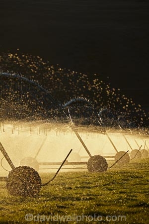 agicultural-machine;agricultural;agriculture;automatic-irrigation;Canterbury;centre-pivot-irrigation;countryside;cultivation;farm;farm-equipment;farm-implements;farm-machinery;farming;farmland;farms;field;fields;grow;growing;irrigate;irrigated-land;irrigation;irrigation-equipment;irrigation-scheme;irrigator;light;machine;machines;Mackenzie-Country;Mackenzie-District;Mackenzie-Region;meadow;meadows;mobile-irrigation;N.Z.;New-Zealand;NZ;paddock;paddocks;pasture;pastures;pivoting-boom-irrigation;resource;rotary-irrigation;rural;S.I.;SI;South-Canterbury;South-Is;South-Island;spray;sprays;sprinkers;sprinkler;Sth-Is;Sth-Is.;Twizel;water