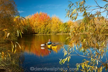 adventure;adventure-tourism;autuminal;autumn;autumn-colour;autumn-colours;autumnal;boat;boats;calm;canoe;canoeing;canoes;color;colors;colour;colours;deciduous;fall;gold;golden;kayak;kayaker;kayakers;kayaking;kayaks;Kelland-Pond;Kelland-Ponds;Kellands-Pond;Kellands-Ponds;lake;Lake-Ruataniwha;lakes;leaf;leaves;Mackenzie-Country;Mackenzie-District;Mackenzie-Region;model-released;MR;N.Z.;New-Zealand;North-Otago;NZ;Otago;paddle;paddler;paddlers;paddling;people;person;placid;pond;ponds;quiet;reflected;reflection;reflections;S.I.;sea-kayak;sea-kayaker;sea-kayakers;sea-kayaking;sea-kayaks;season;seasonal;seasons;serene;SI;smooth;South-Is;South-Island;Sth-Is;Sth-Is.;still;tourism;tourist;tourists;tranquil;tree;trees;Twizel;Waitaki-District;Waitaki-Region;water;yellow