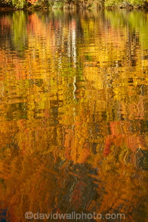 autuminal;autumn;autumn-colour;autumn-colours;autumnal;calm;color;colors;colour;colours;deciduous;fall;gold;golden;Kelland-Pond;Kelland-Ponds;Kellands-Pond;Kellands-Ponds;lake;Lake-Ruataniwha;lakes;leaf;leaves;Mackenzie-Country;Mackenzie-District;Mackenzie-Region;N.Z.;New-Zealand;North-Otago;NZ;Otago;placid;pond;ponds;quiet;reflected;reflection;reflections;S.I.;season;seasonal;seasons;serene;SI;smooth;South-Is;South-Island;Sth-Is;Sth-Is.;still;tranquil;tree;trees;trunk;trunks;Twizel;Waitaki-District;Waitaki-Region;water;yellow