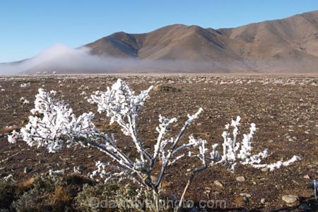 beautiful;calm;calmness;clean;clear;cold;Coldness;Color;Colour;Daytime;Exterior;freeze;freezing;freezing-fog;frost;Frosted;frosty;high-country;hoar-frost;Hoarfrost;ice;icy;idyllic;Landscape;Landscapes;mackenzie;mackenzie-country;natural;Nature;new-zealand;Outdoor;Outdoors;Outside;peaceful;Peacefulness;phenomena;phenomenon;pure;Quiet;Quietness;Scenic;Scenics;Season;Seasons;silence;south-island;spectacular;stunning;sunny;tourism;tourist;tourists;tranquil;tranquility;Twizel;view;waitaki;waitaki-district;water;weather;White;winter;Wintertime;wintery;wintry;briar;rosehip;rosehips;rose_hip;rose_hips;benmore-range;omarama