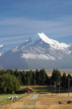 agricultural;agriculture;alp;alpine;alps;altitude;Aoraki;Aoraki-Mt-Cook;Aoraki-Mt-Cook-National-Park;barn;barns;Canterbury;country;countryside;crop;crops;farm;farm-building;farm-buildings;farming;farmland;farms;fence;fenceline;fencelines;fences;field;fields;glacial;glacier;glaciers;Glentanner;Glentanner-Station;hay-shed;hay-sheds;hayshed;haysheds;high-altitude;horticulture;Mackenzie-Country;main-divide;meadow;meadows;mount;mountain;mountain-peak;mountainous;mountains;mountainside;mt;Mt-Cook;Mt-Cook-National-Park;mt.;N.Z.;New-Zealand;NZ;old-building;old-buildings;paddock;paddocks;pasture;pastures;peak;peaks;pole-line;pole-lines;power-pole;power-poles;range;ranges;rural;shed;sheds;snow;snow-capped;snow_capped;snowcapped;snowy;South-Canterbury;South-Island;southern-alps;summit;summits;telegraph-pole;telegraph-poles;telephone-pole;telephone-poles;wooden-building;wooden-buildings;wool-shed;wool-sheds