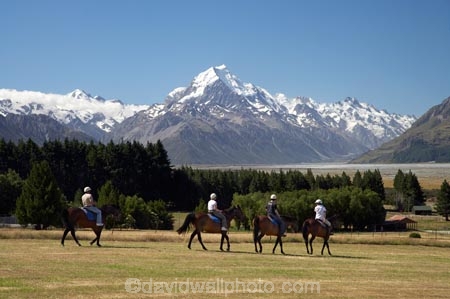 alp;alpine;alps;altitude;Aoraki;Aoraki-Mt-Cook;Aoraki-Mt-Cook-National-Park;Aoraki-Mt-Cook-National-Park;Canterbury;equestrian;glacial;glacier;glaciers;Glentanner-Station;high-altitude;horse;horse-rider;Horse-Riders;horse-riding;horses;Mackenzie-Country;Mackenzie-District;main-divide;mount;Mount-Cook;mountain;mountain-peak;mountainous;mountains;mountainside;mt;Mt-Cook;Mt-Cook-National-Park;mt.;Mt.-Cook;N.Z.;New-Zealand;NZ;peak;peaks;range;ranges;S.I;SI;snow;snow-capped;snow_capped;snowcapped;snowy;South-Canterbury;South-Is;South-Island;southern-alps;summit;summits