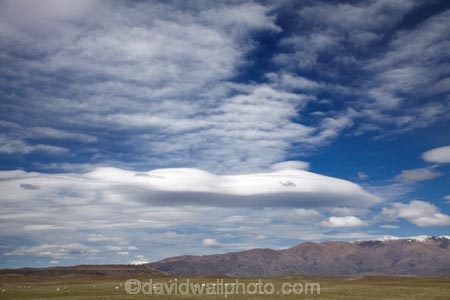 agricultural;agriculture;altocumulus-lenticularis;Benmore-Range;big-sky;Canterbury;cloud;clouds;country;countryside;farm;farming;farmland;farms;field;fields;lens-shaped-cloud;lens-shaped-clouds;lenticular-cloud;lenticular-clouds;lenticularis-cloud;lenticularis-clouds;Mackenzie-Country;Mackenzie-District;meadow;meadows;N.Z.;New-Zealand;NZ;paddock;paddocks;pasture;pastures;rural;S.I.;SI;skies;sky;South-Canterbury;South-Is.;South-Island