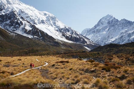 alp;alpine;alps;altitude;Aoraki;Aoraki-Mt-Cook;Aoraki-Mt-Cook-N.P.;Aoraki-Mt-Cook-National-Park;Aoraki-Mt-Cook-NP;Aoraki-Mount-Cook;Aoraki-Mt-Cook;Aoraki-Mt-Cook-N.P.;Aoraki-Mt-Cook-National-Park;Aoraki-Mt-Cook-NP;backpacker;backpackers;Canterbury;glacial;glacier;glaciers;high-altitude;hike;hiker;hikers;hiking;hiking-track;hiking-tracks;Hooker-Valley;Mackenzie-Country;Mackenzie-District;main-divide;mount;Mount-Cook;mountain;mountain-peak;mountainous;mountains;mountainside;mt;Mt-Cook;Mt-Cook-N.P.;Mt-Cook-National-Park;Mt-Cook-NP;mt.;Mt.-Cook;N.Z.;New-Zealand;NZ;peak;peaks;range;ranges;S.I.;SI;snow;snow-capped;snow_capped;snowcapped;snowy;South-Canterbury;South-Is.;South-Island;southern-alps;summit;summits;tramp;tramper;trampers;tramping;tramping-tack;tramping-tracks;trek;treker;trekers;treking;trekker;trekkers;trekking;walk;walker;walkers;walking;walking-track;walking-tracks