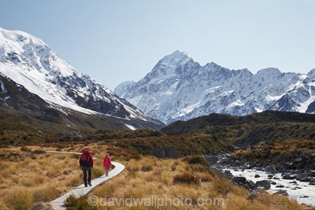 alp;alpine;alps;altitude;Aoraki;Aoraki-Mt-Cook;Aoraki-Mt-Cook-N.P.;Aoraki-Mt-Cook-National-Park;Aoraki-Mt-Cook-NP;Aoraki-Mount-Cook;Aoraki-Mt-Cook;Aoraki-Mt-Cook-N.P.;Aoraki-Mt-Cook-National-Park;Aoraki-Mt-Cook-NP;backpacker;backpackers;Canterbury;glacial;glacial-river;glacier;glaciers;high-altitude;hike;hiker;hikers;hiking;hiking-track;hiking-tracks;Hooker-River;Hooker-Valley;Mackenzie-Country;Mackenzie-District;main-divide;mount;Mount-Cook;mountain;mountain-peak;mountainous;mountains;mountainside;mt;Mt-Cook;Mt-Cook-N.P.;Mt-Cook-National-Park;Mt-Cook-NP;mt.;Mt.-Cook;N.Z.;New-Zealand;NZ;peak;peaks;range;ranges;river;rivers;S.I.;SI;snow;snow-capped;snow_capped;snowcapped;snowy;South-Canterbury;South-Is.;South-Island;southern-alps;summit;summits;tramp;tramper;trampers;tramping;tramping-tack;tramping-tracks;trek;treker;trekers;treking;trekker;trekkers;trekking;walk;walker;walkers;walking;walking-track;walking-tracks