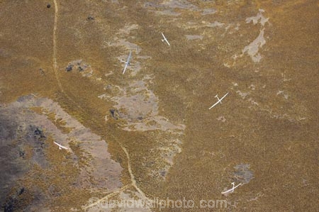 aerial;aerial-photo;aerial-photography;aerial-photos;aerials;air-to-air;aviate;aviation;aviator;aviators;cuthbert-range;flies;fly;flying;glide;glider;gliders;glides;gliding;N.Z.;New-Zealand;New-Zealand-Gliding-Grand-Prix;North-Otago;NZ;NZ-Gliding-Grand-Prix-2006;Omarama;S.I.;sail-plane;sail-planes;sail-planing;sail_plane;sail_planes;sail_planing;sailplane;Sailplane-Grand-Prix;sailplanes;sailplaning;SI;soar;soaring;South-Island;thermal;thermaling;thermalling;thermals;tussock;tussocks;Waitaki-District;wing;wings