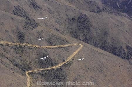 4wd-track;4x4-track;aerial;aerial-photo;aerial-photography;aerial-photos;aerials;air-to-air;aviate;aviation;aviator;aviators;cuthbert-range;flies;fly;flying;four-by-four-track;four-wheel-drive-track;four_wheel_drive-track;glide;glider;gliders;glides;gliding;Mount-Saint-Cuthbert;Mount-St.-Cuthbert;Mt-St-Cuthbert;N.Z.;New-Zealand;New-Zealand-Gliding-Grand-Prix;North-Otago;NZ;NZ-Gliding-Grand-Prix-2006;Omarama;S.I.;sail-plane;sail-planes;sail-planing;sail_plane;sail_planes;sail_planing;sailplane;Sailplane-Grand-Prix;sailplanes;sailplaning;Saint-Cuthbert-Range;SI;soar;soaring;South-Island;St-Cuthbert-Range;St.-Cuthbert-Range;thermal;thermaling;thermalling;thermals;track;tracks;tussock;tussocks;Waitaki-District;wing;wings;zig-zag;zig_zag