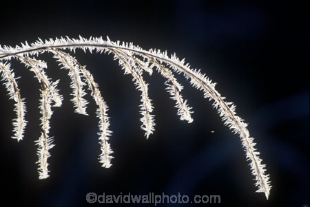 agriculture;cold;farm;farming;farms;freeze;freezing;frosty;ice;winter
