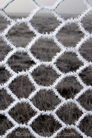 chicken-wire;cold;fence;fences;freeze;freezes;frost;frosted;frosty;frozen;hexagon;hexagonal;hoar;hoar-frost;ice;icy;Mackenzie-Country;netting;New-Zealand;season;seasonal;seasons;South-Island;Twizel;winter;wintry;wire;wire-net;wire-netting;wires