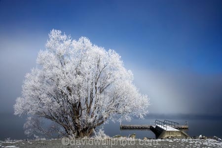 beautiful;calm;calmness;clean;clear;cold;Coldness;Color;Colour;Daytime;Exterior;extreme-weather;freeze;freezing;freezing-fog;frost;Frosted;frosty;frozen;high-country;hoar-frost;hoar-frosts;Hoarfrost;hoarfrosts;ice;ice-crystals;icy;idyllic;jetties;jetty;lake;Lake-Ohau;lakes;Landscape;Landscapes;Mackenzie-Country;N.Z.;natural;Nature;New-Zealand;NZ;Outdoor;Outdoors;Outside;peaceful;Peacefulness;phenomena;phenomenon;pier;piers;pure;Quiet;Quietness;rime;rime-ice;S.I.;Scenic;Scenics;season;seasonal;seasons;SI;silence;South-Canterbury;South-Is;south-island;spectacular;stunning;tranquil;tranquility;view;water;waterside;weather;wharf;wharfes;wharves;White;willow-tree;willow-trees;willows;winter;Wintertime;wintery;wintry