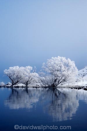 beautiful;calm;calmness;clean;clear;cold;Coldness;Color;Colour;Daytime;Exterior;extreme-weather;freeze;freezing;freezing-fog;frost;Frosted;frosty;frozen;high-country;hoar-frost;hoar-frosts;Hoarfrost;hoarfrosts;ice;ice-crystals;icy;idyllic;lake;Lake-Ohau;lakes;Landscape;Landscapes;Mackenzie-Country;N.Z.;natural;Nature;New-Zealand;NZ;Outdoor;Outdoors;Outside;peaceful;Peacefulness;phenomena;phenomenon;placid;pure;quiet;Quietness;reflection;reflections;rime;rime-ice;S.I.;Scenic;Scenics;season;seasonal;seasons;serene;SI;silence;smooth;South-Canterbury;South-Is;south-island;spectacular;still;stunning;tranquil;tranquility;view;water;weather;White;willow-tree;willow-trees;willows;winter;Wintertime;wintery;wintry