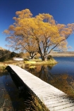autumn;blue;boat;boats;bridge;bridges;calm;calmness;clean;clear;Daytime;dinghies;dinghy;dinghys;Exterior;fall;foot-bridge;foot-bridges;footbridge;footbridges;golden;high-country;idyllic;lake;lake-alexandrina;lakes;Leisure;mackenzie-country;Nature;new-zealand;Outdoor;Outdoors;Outside;Peaceful;Peacefulness;People;Person;Persons;pure;Quiet;Quietness;Recreation;Reflection;Reflections;row-boat;row-boats;scenery;Scenic;Scenics;season;seasonal;seasons;silence;south-island;tekapo;tranquil;tranquility;transparent;tree;trees;water;willow;willow-tree;willow-trees;willows;yellow