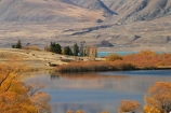 autumn;blue;calm;calmness;clean;clear;Daytime;Exterior;fall;golden;high-country;idyllic;lake;lake-mcgregor;lake-tekapo;lakes;Leisure;mackenzie-country;Nature;new-zealand;Outdoor;Outdoors;Outside;Peaceful;Peacefulness;pure;Quiet;Quietness;Recreation;Reflection;Reflections;scenery;Scenic;Scenics;season;seasonal;seasons;silence;south-island;tekapo;tranquil;tranquility;transparent;tree;trees;two-thumb-range;water;willow;willow-tree;willow-trees;willows;yellow